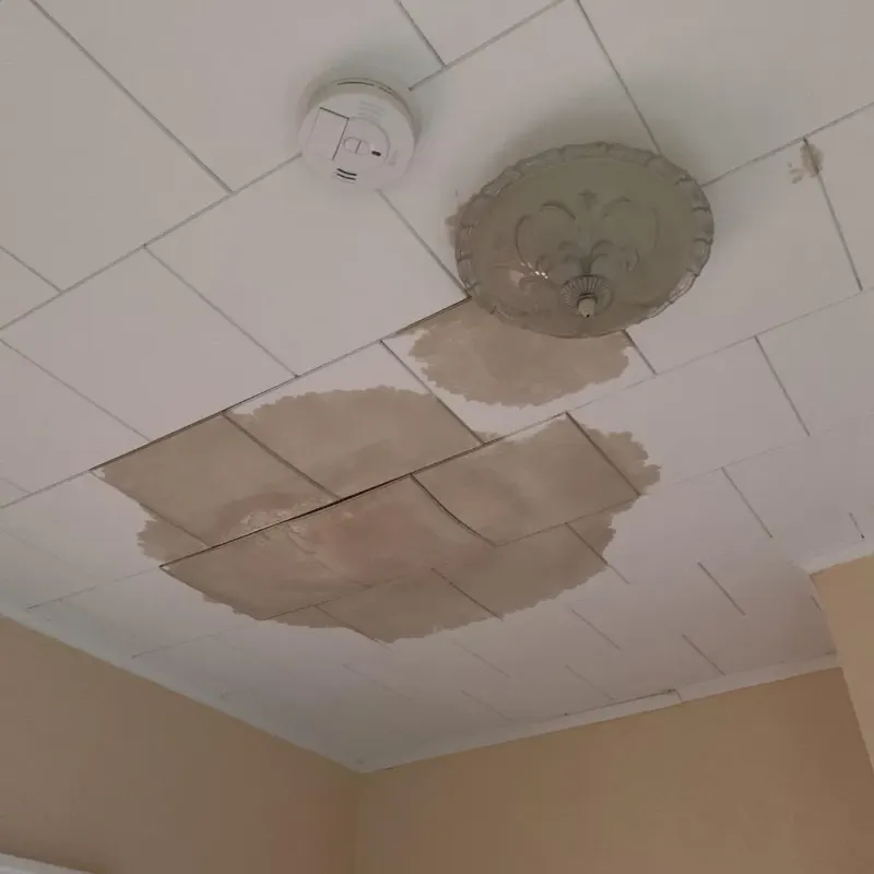 Ceiling Water Damage Repair in West Des Moines, IA