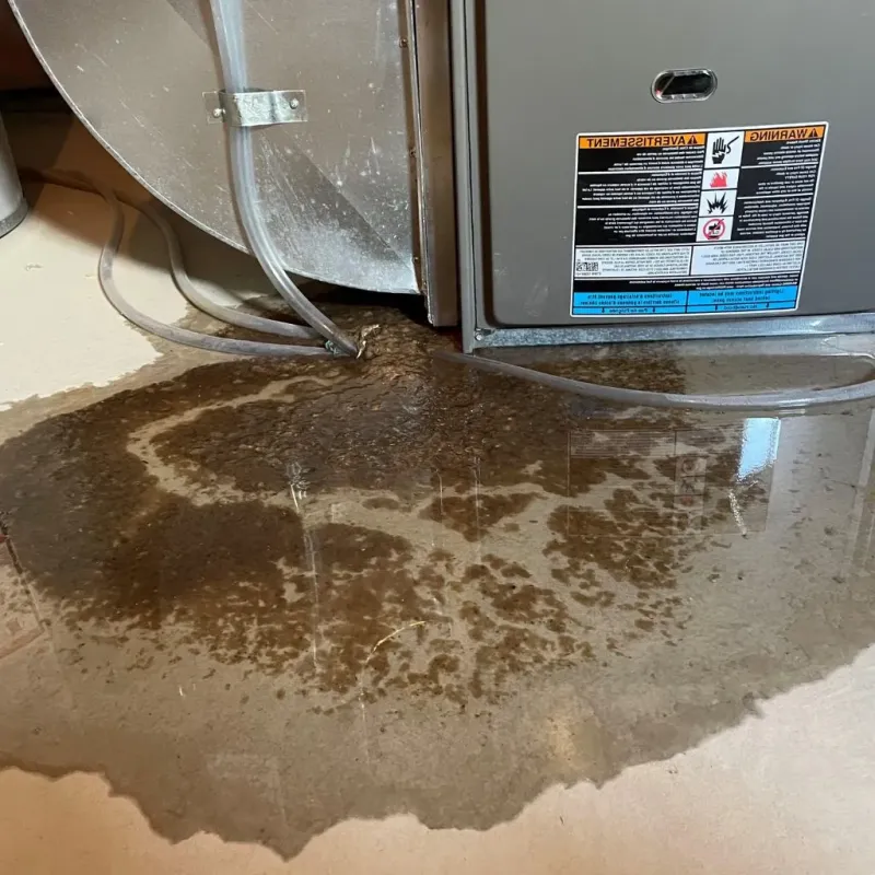 Pipe Burst and Leak Restoration in West Des Moines, IA