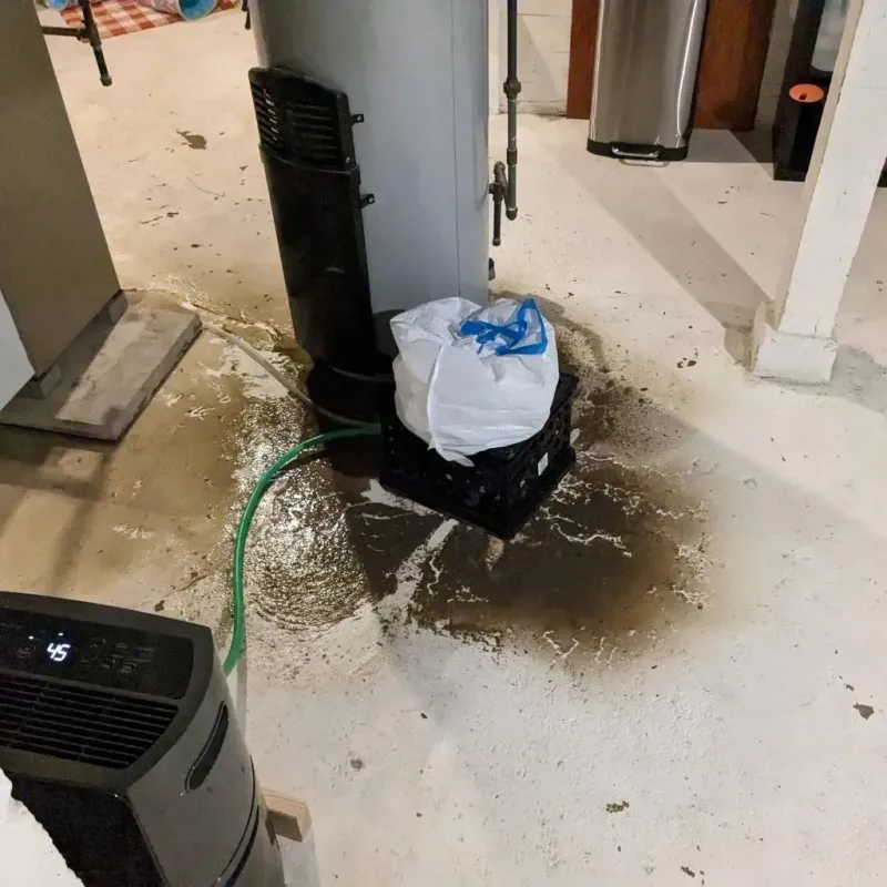 Sewage Backup Cleanup Service in West Des Moines, IA